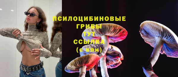 гидропоника Балахна